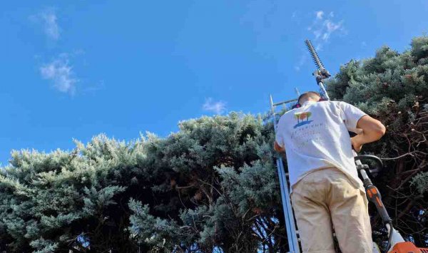 Entretien d'espaces verts pour particuliers dans l'Ouest Lyonnais